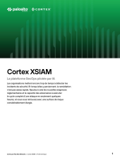 asset pdf thumbnail